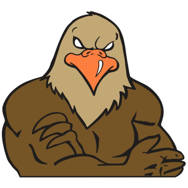 AR FALCON 26 RC Thumbnail