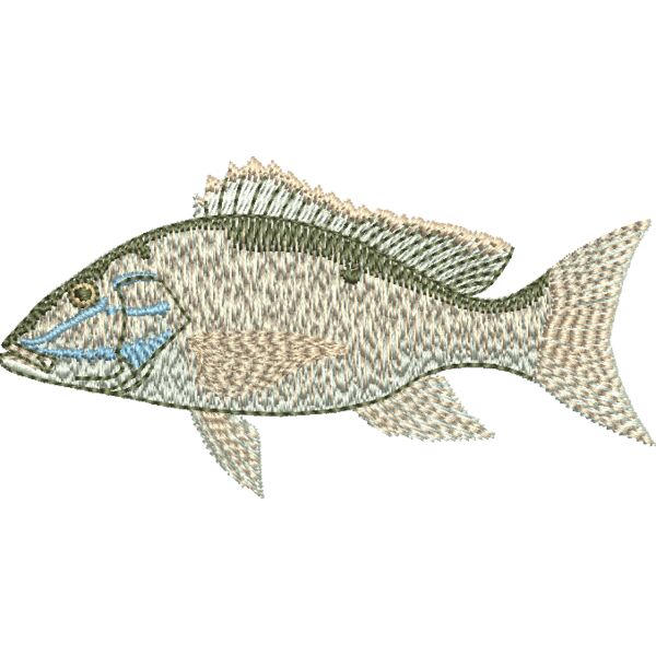 Mutton Snapper  Thumbnail