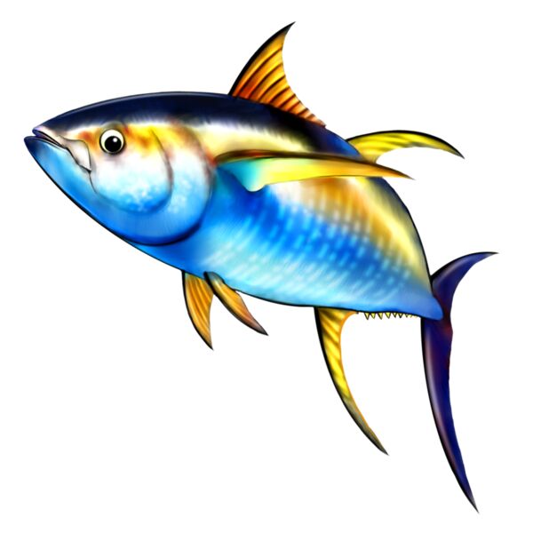 Yellow Fin Tuna Thumbnail