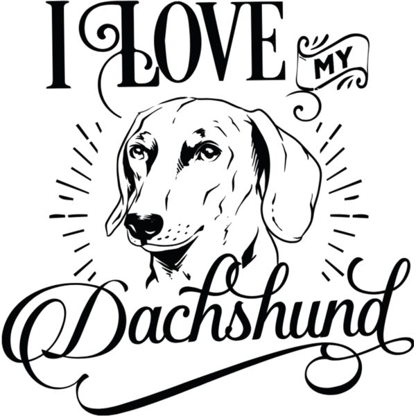 Dachshund 1 Thumbnail