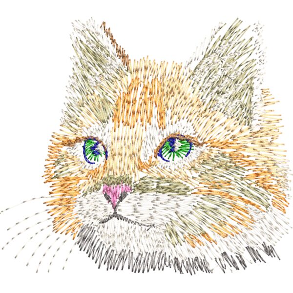 Cat head, kitten Thumbnail